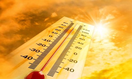 Температура рекорды: 120 жылда әлемдегі ең ыстық күн анықталды