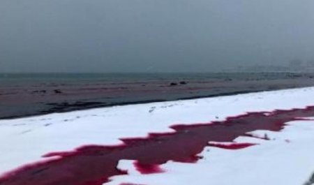 Экологтар Каспий суының қызыл түске боялуына қатысты пікір білдірді