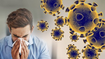 Ғалымдар: Коронавирус пандемиясы 2 жылға созылуы мүмкін