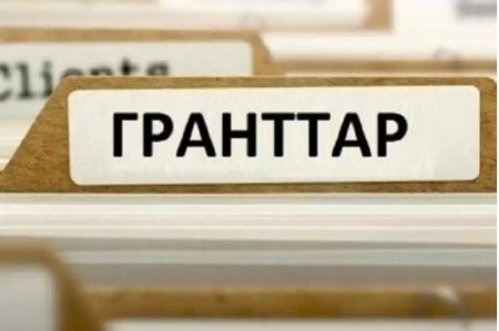 Ауылдағы волонтерлік ұйымдарға 1 млн теңгелік гранттар беріледі