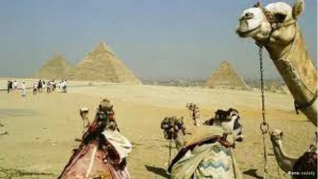 Египет тегін транзиттік визалар бере бастады