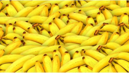 Елімізде алғаш рет өнеркәсіптік ауқымда банан өсіріле бастады