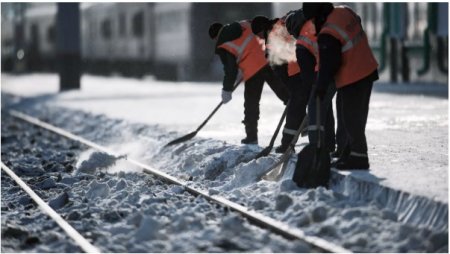 Қазақстанда ресми жұмыс істейтін шетелдіктердің саны жарияланды