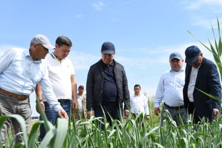 Аудан әкімі егіс алқабы мен бірқатар нысандарды аралады