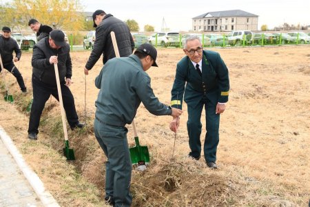 Қазалыда жаппай сенбілік жұмыстары мен күзгі тал егу акциясы ұйымдастырылды