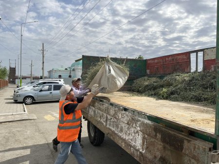 ҚАЗАЛЫДА СЕНБІЛІК ЖҰМЫСТАРЫ ҰЙЫМДАСТЫРЫЛДЫ