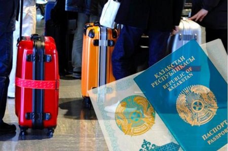 Биыл қанша этникалық қазақ қандас мәртебесін алды