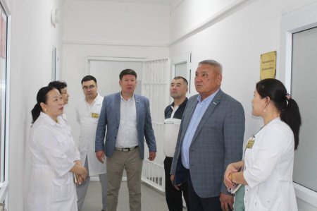Емдеу ұйымдарының қажетті дәрі-дәрмектермен қамтамасыз етілуіне партиялық бақылау жасалды