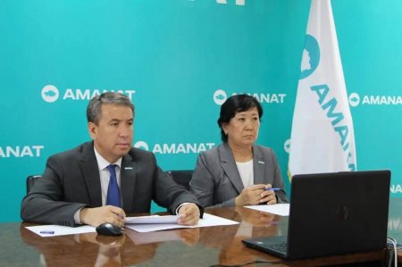 Аумақтық партия филиалдарының жұмысы сараланды