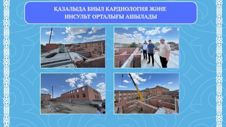 Биыл кардиология және инсульт орталығы ашылады