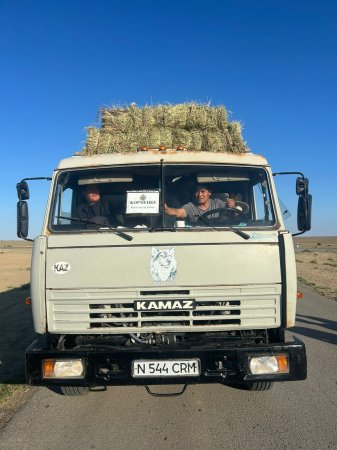 Аралдық ағайынға көмек көрсетті
