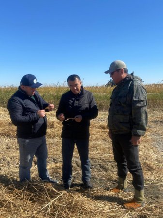 Күзгі науқан барысы назарда