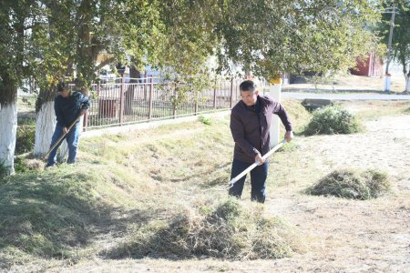 Серпінді өткен сенбілік