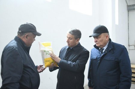 Аудан әкімі Қазалы қаласындағы кәсіпкерлік нысандарды аралады