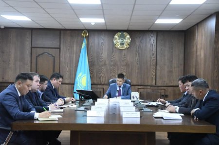 Мәжілісте міндетті әлеуметтік медициналық сақтандыру мәселелері талқыланды