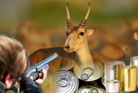 Даланың ерке киігі, болды екен кімнің кімнің күйігі?