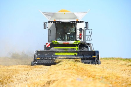 Төсінде Сырдың қалқиды аппақ маржаны…