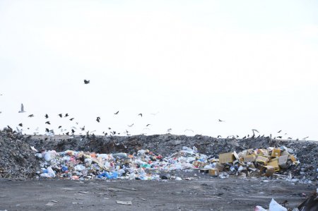 Тазалық – басты талап