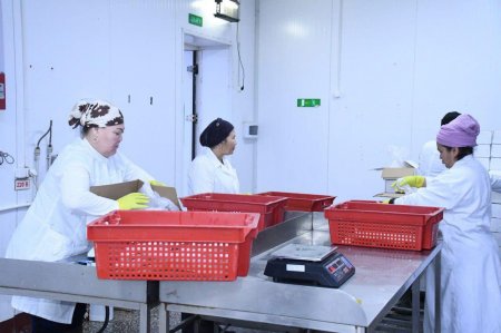 Ауыл еңбегі артып, кәсіп өрісін кеңейтті