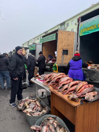 Берекелі жәрмеңке