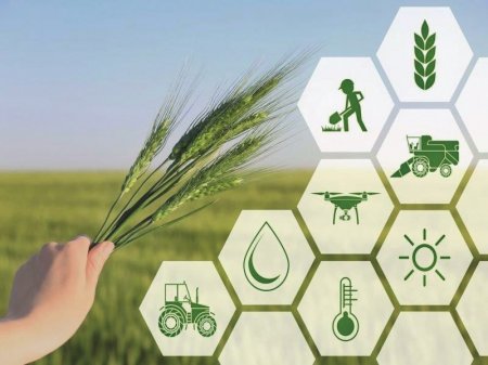 «Ауыл аманаты» әлеуметке әл береді