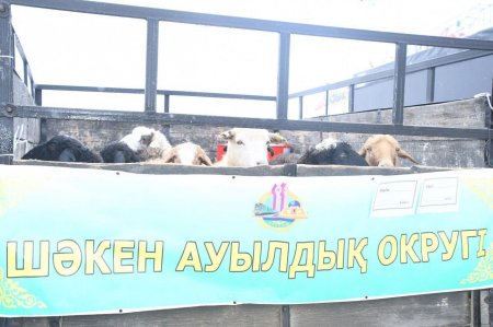 Тұрғындарға тиімді баға