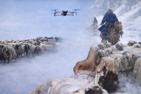 Шопанның халі: шаруа қайтсе ширамақ?