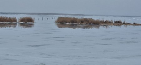 Табиғатпен үндес тіршілік