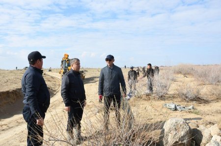 ҚАЗАЛЫДА КЕҢ АУҚЫМДЫ ТАЗАЛЫҚ ЖҰМЫСТАРЫ ЖҮРГІЗІЛДІ
