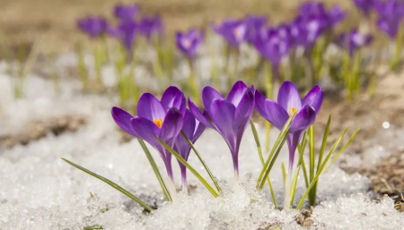 Температура рекорды жаңарды