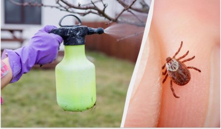 Кене кіші деме...