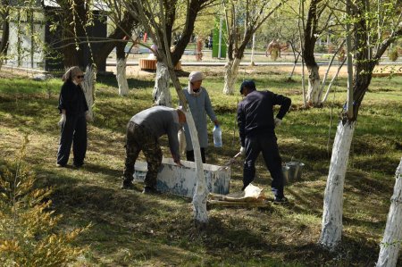 Тазалыққа да тиянақтылық керек