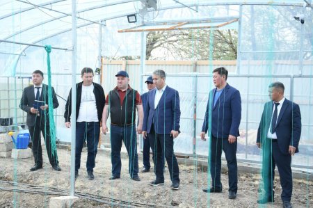 Аудан әкімі «Ауыл аманаты» аясында кәсіп бастаған азаматтардың жұмысымен танысты