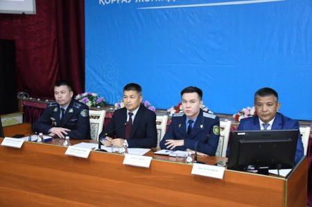 Кәмелетке толмағандардың істері және олардың құқықтарын қорғау жөніндегі көшпелі комиссия отырысы өтті