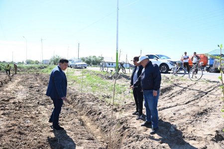 Қазалыда  «Таза Қазақстан» экологиялық акциясы аясында сенбілік өтті