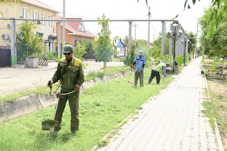 Акцияға атсалысуда