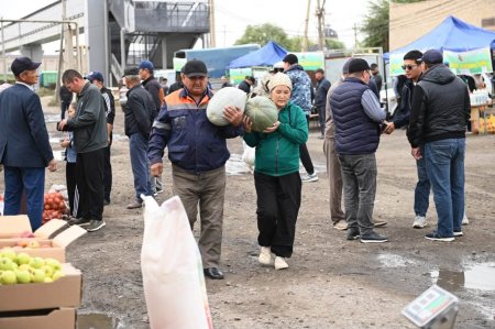 Қазалыда ауыл шаруашылығы өнімдерінің жәрмеңкесі өтті